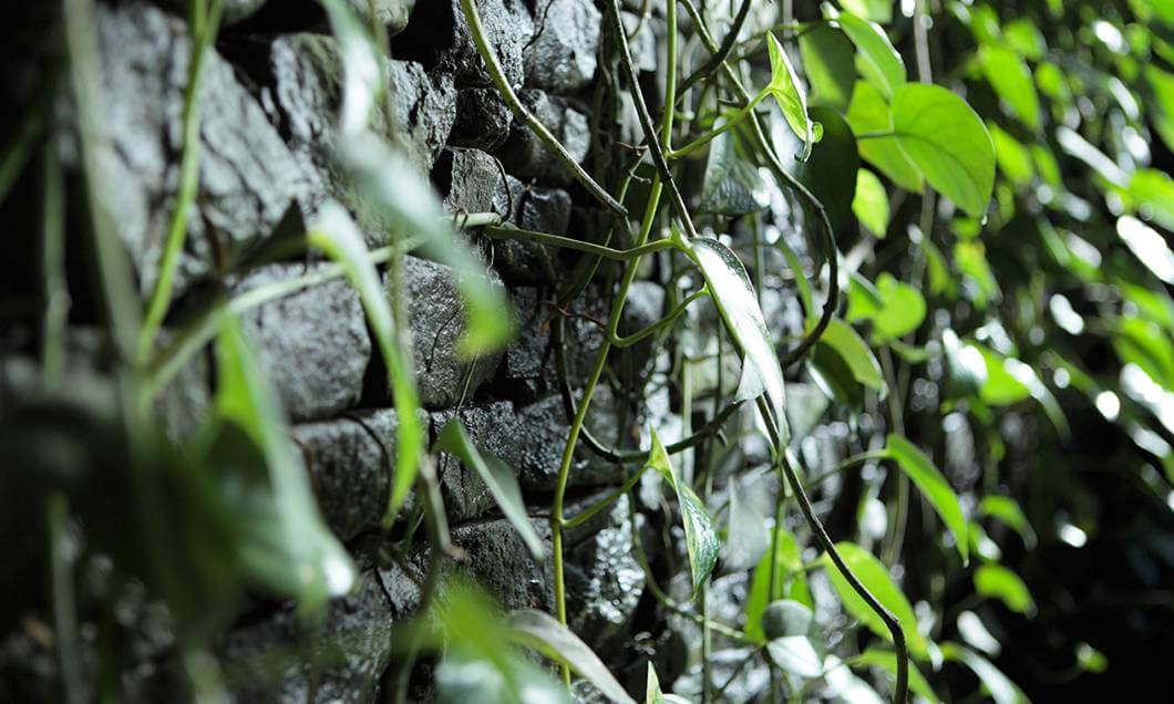 写真：石の教会 内村鑑三記念堂の石垣