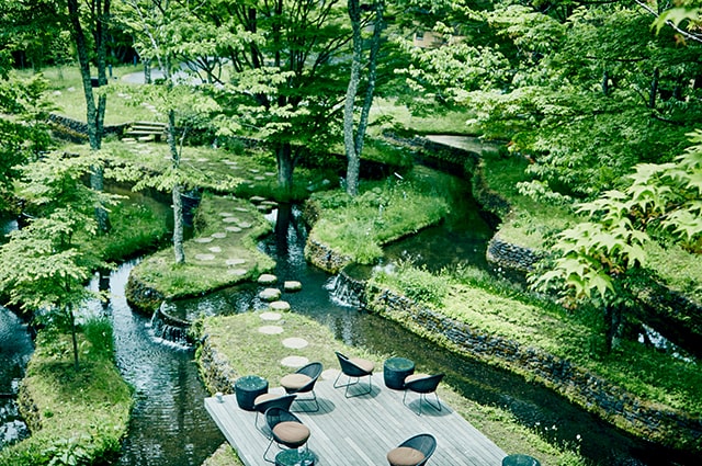 写真：