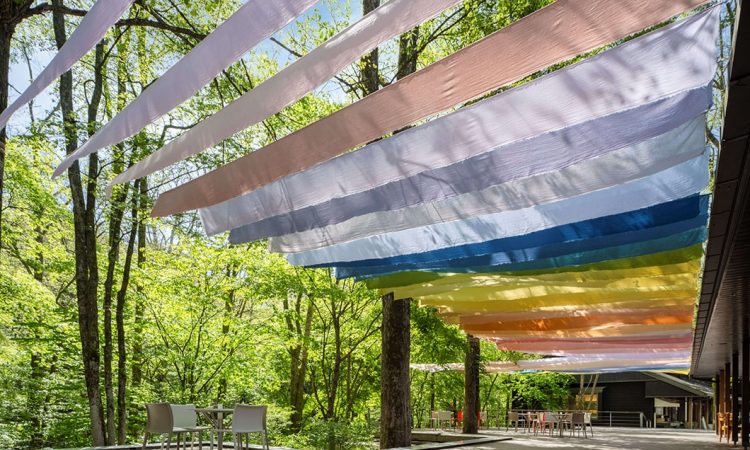 写真：Organic Wind（オーガニック ウィンド）