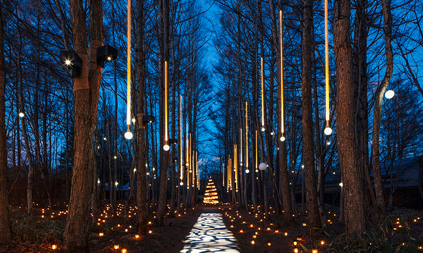 写真：森をめぐり、星の小径を歩く「ランタン散策」