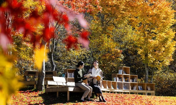 写真：紅葉図書館