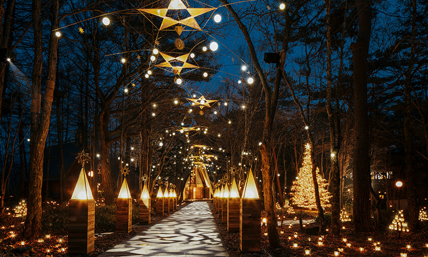 写真：冬の夜空に瞬く星が地上に舞い降りた「星降る森のクリスマス」